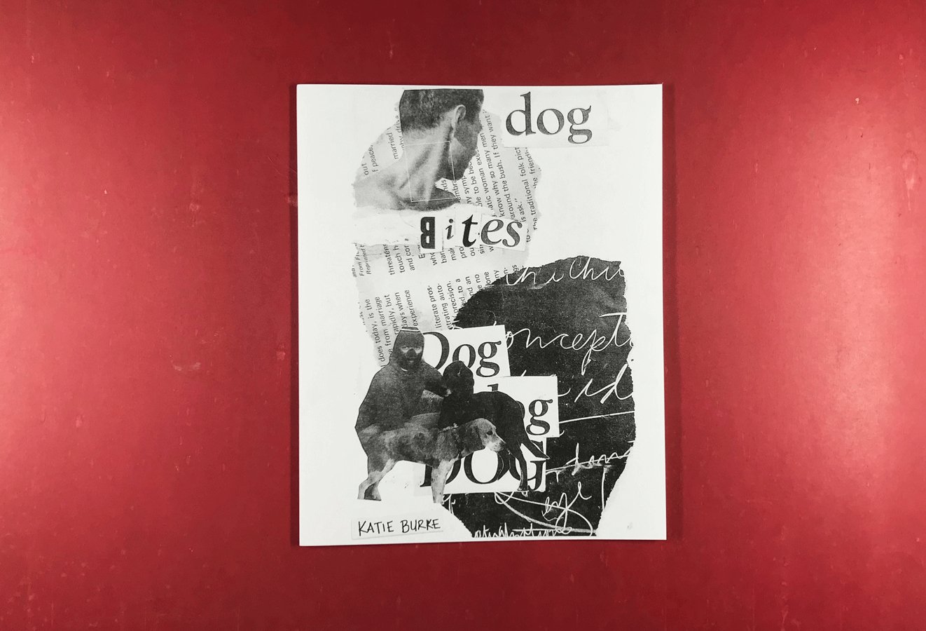 Dog Bites Back Zine - Risology Club NashZines